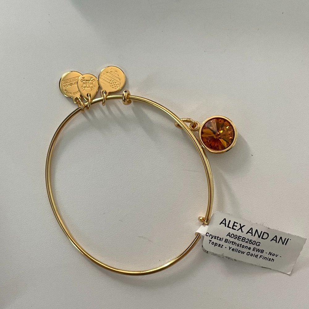 Alex and Ani Charm Bracelet November Birth Stone
